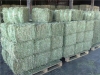 QUALITY-GREEN-ALFALFA-HAY-FOR-OUR-RACING-HORSES-HOT-SALES-